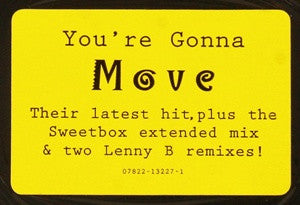 Ace Of Base : Never Gonna Say I'm Sorry (12")