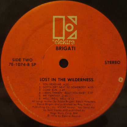 Brigati* : Lost In The Wilderness (LP, Album)