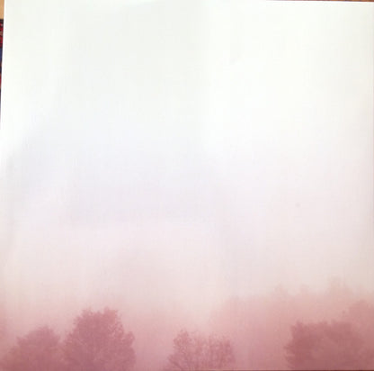 William Tyler : Modern Country (LP, Album)