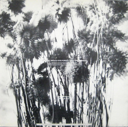 The Psychedelic Furs : Should God Forget (12", Promo)