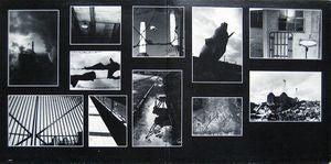 Pink Floyd : Animals (LP, Album, Pit)