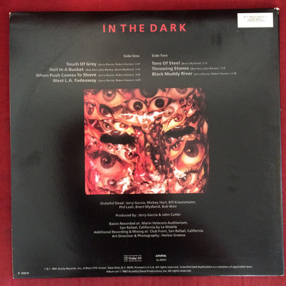 Grateful Dead* : In The Dark (LP, Album, Club)
