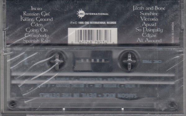 Saigon Kick : Devil In The Details (Cass, Album)