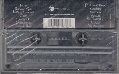 Saigon Kick : Devil In The Details (Cass, Album)