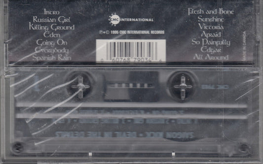 Saigon Kick : Devil In The Details (Cass, Album)