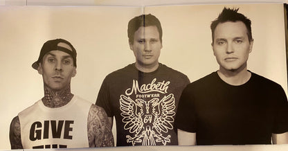 Blink-182 : Neighborhoods (2xLP, Album, RE, 180)