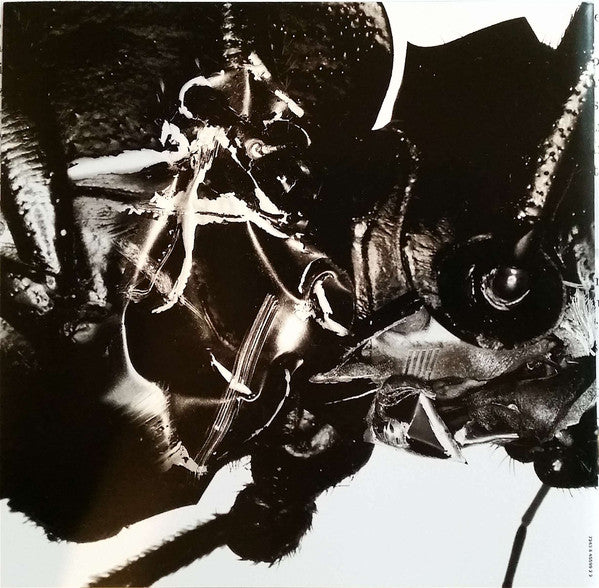 Massive Attack : Mezzanine (CD, Album, RE)