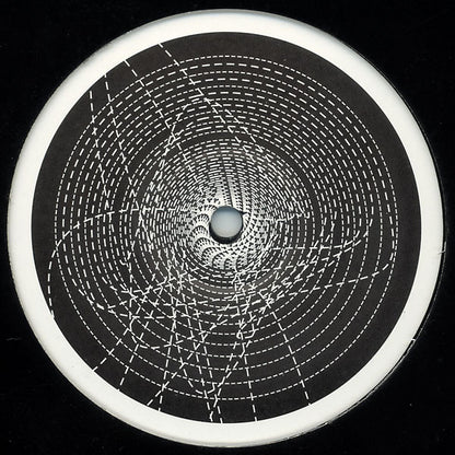 Paradox : Aries Maze / Reykjavik (12")