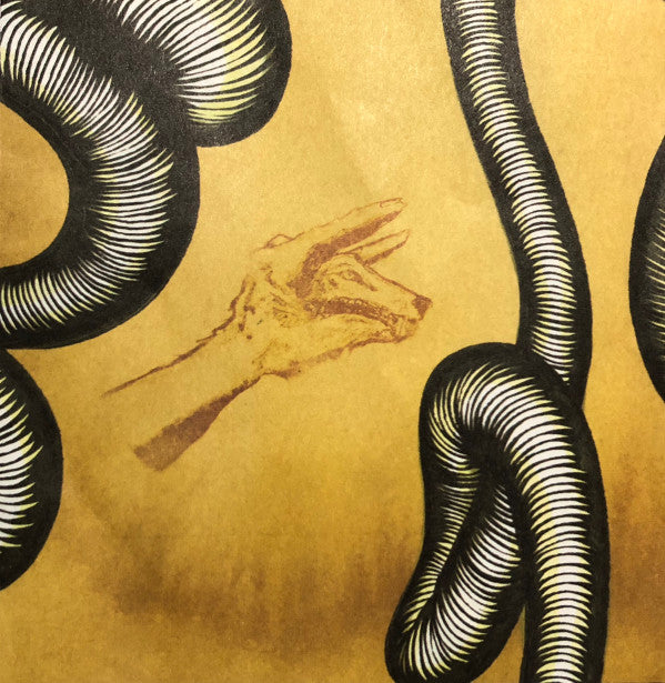 Modest Mouse : We Were Dead Before The Ship Even Sank (CD, Album, Son)