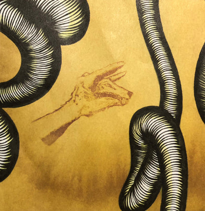 Modest Mouse : We Were Dead Before The Ship Even Sank (CD, Album, Son)