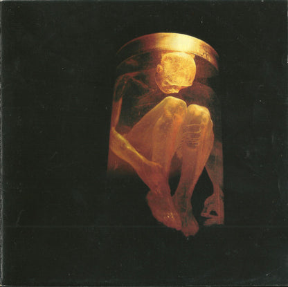 Alice In Chains : Nothing Safe: The Best Of The Box (CD, Comp, Enh, RP, Cle)