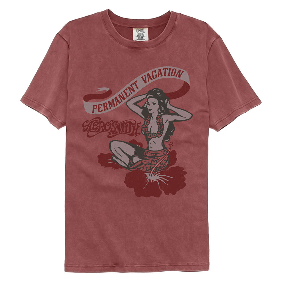 Aerosmith PV T-Shirt t-shirt