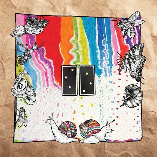 The Baker's Basement - Down Down Domino (LP, US, Mint (M))