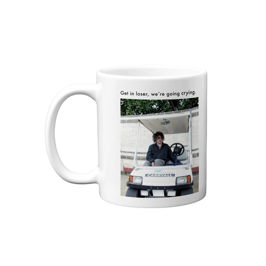 Mug with a photo of a person in a camper van and text 'Get in loser, we're going crying.'