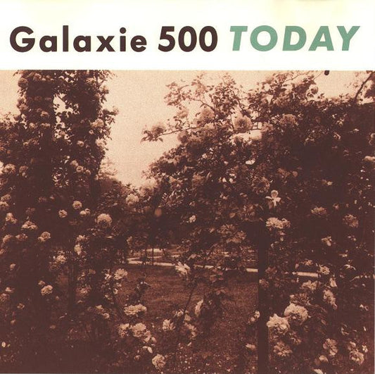 Galaxie 500 - Today LP