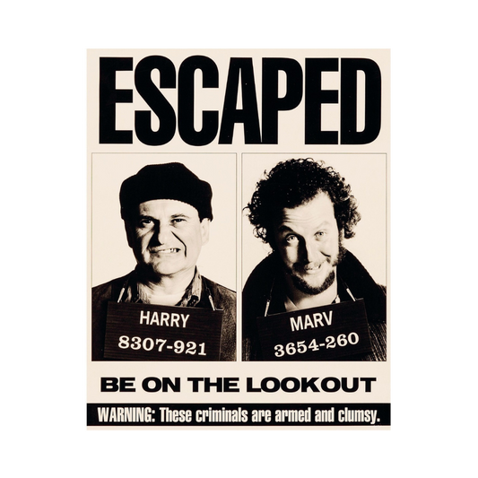 Home Alone Wet Bandits Sticker