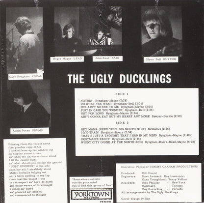 the Ugly Ducklings - Somewhere Outside (LP, RE, Mint (M))