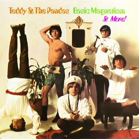Teddy & The Pandas : Basic Magnetism LP