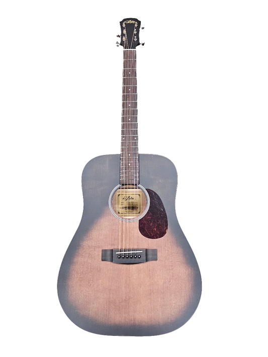 Aria Delta Blues Acoustic Guitar