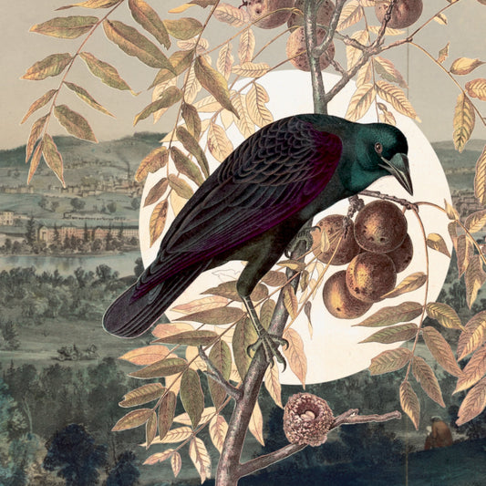 Illustration of a bird perched on a branch with leaves and fruit, set against a landscape.