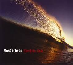 Buckethead : Electric Sea LP (Mint) *UNOFFICIAL*