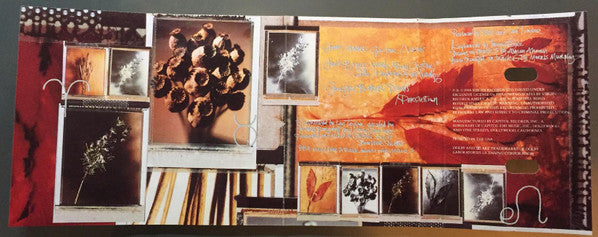 BBM (5) : Around The Next Dream (Cass, Album)