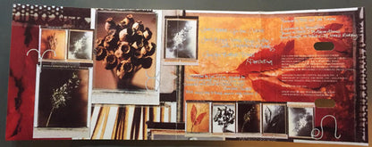 BBM (5) : Around The Next Dream (Cass, Album)