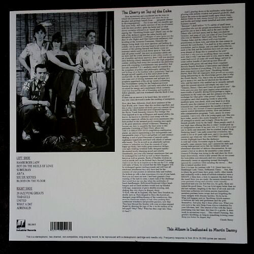 Throbbing Gristle : Throbbing Gristle's Greatest Hits (Entertainment Through Pain) (LP, Comp, Ltd, RE, RM)