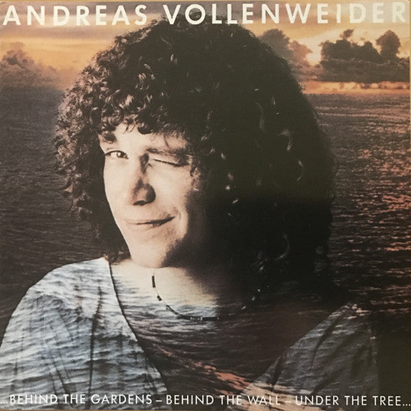 Andreas Vollenweider - Behind The Gardens… LP