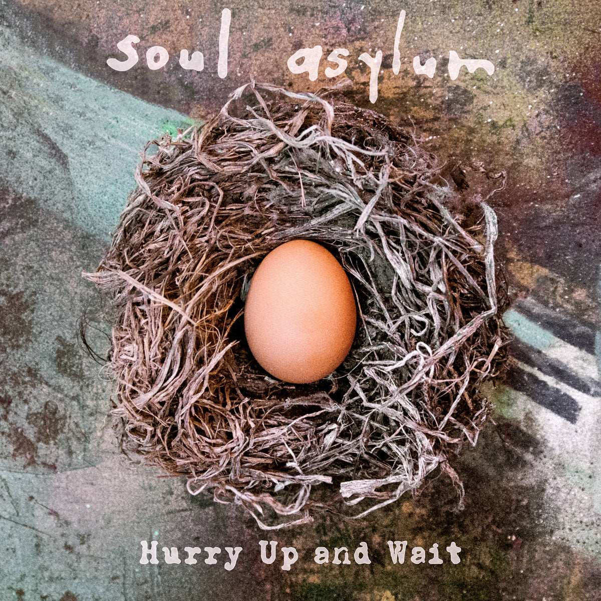 Soul Asylum - Hurry Up And Wait 2LP